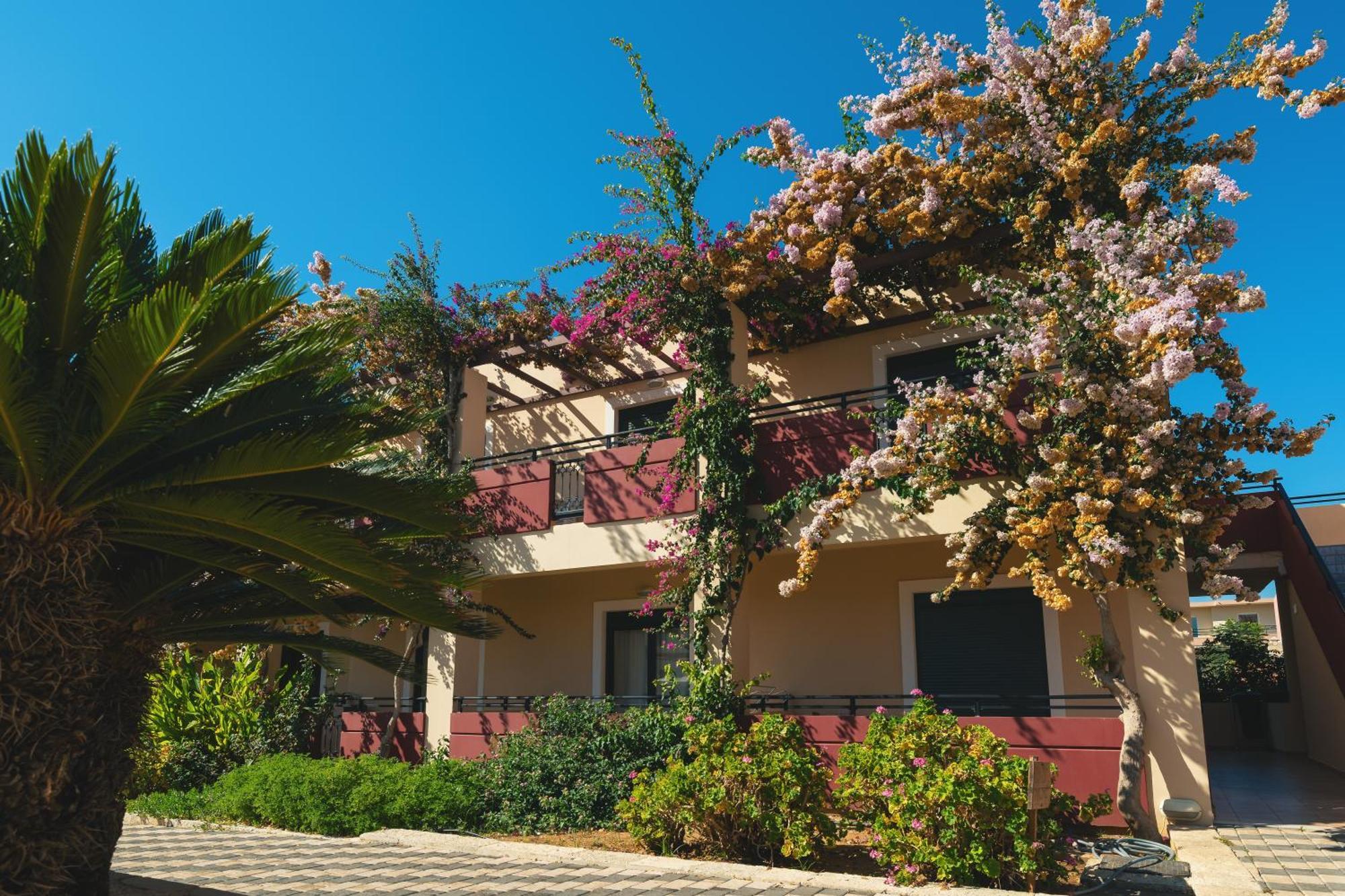 Kambos Village Agia Marina Buitenkant foto